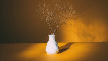 blog-10